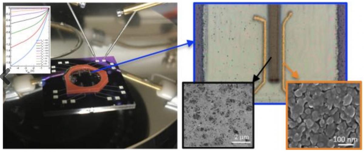 printed biosensors